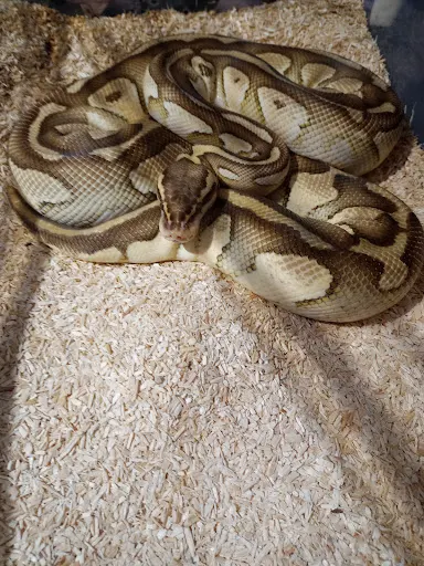 Zootechniczka w trasie Warsztaty dla dzieci